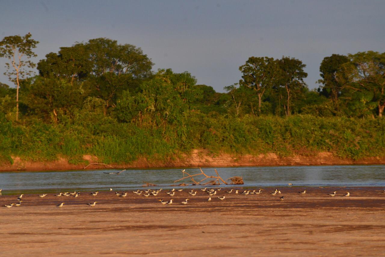 Portaria da SEMAD proíbe pesca no Araguaia neste feriado de Semana Santa