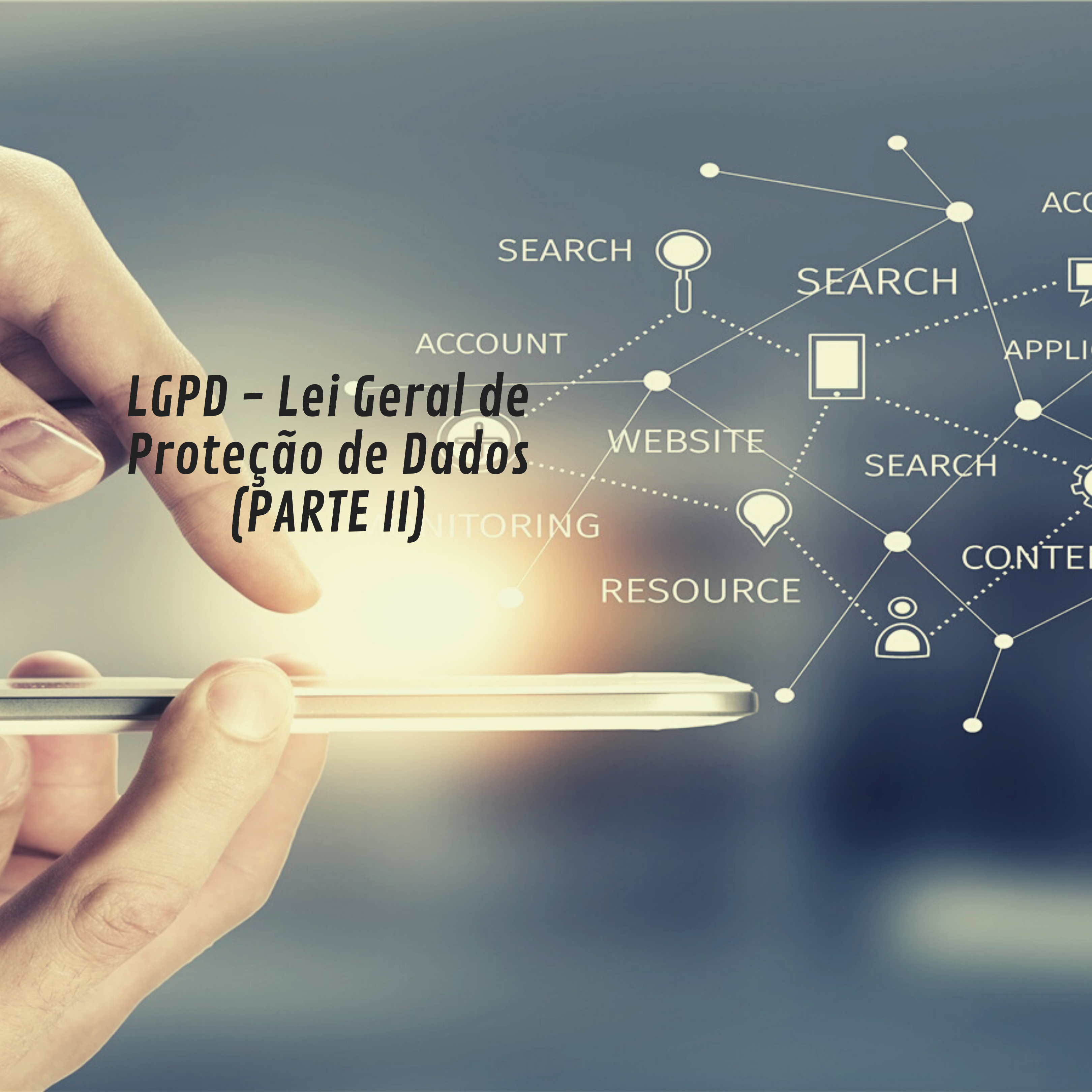 LGPD – Lei Geral de Proteção de Dados (PARTE II),  por Vivian Perpétuo